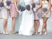 Đám cưới hoa oải hương