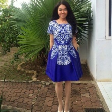 Spring dan Autumn Blue Printed Polyester Dress