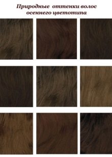 Tons de cabelo Tipo de cor outono