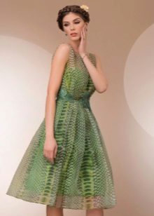 שמלת טטיאנה עם הדפס זוחלים
