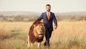 Leijona mies: eläinradan tunnusmerkki, luonteenpiirteet ja talismanit