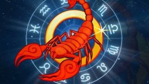 Scorpion mâle né l'année du Coq: compatibilité et caractérisation