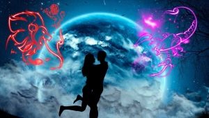 The Union of Leo and Scorpio: compatibility in love and friendship