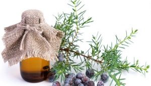 Ciri-ciri minyak juniper dan aplikasinya dalam kosmetologi