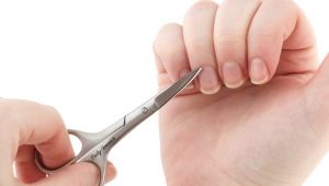 Nožnice na nechty: výber, použitie a starostlivosť