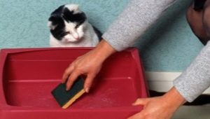 Qual é a melhor maneira de lavar a bandeja para gatos para que não haja cheiro?