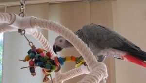 Направи си играчки за папагал