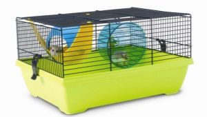 Dzhungar hamster kafesleri: nedir ve nasıl temizlenir?