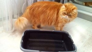 Trays with high sides for cats