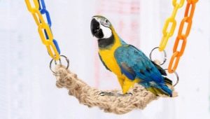 Видове и избор на играчки за папагал