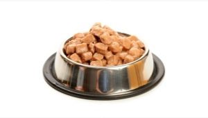 طعام القطط الرطب: المكونات ، العلامات التجارية ، الاختيار ، جدول التغذية