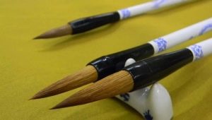 Kalligrafibørster: typer, utvelgelsesregler og tips til bruk