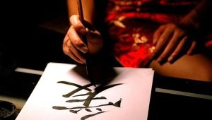 Kiinalainen kalligrafia: Historia ja tyylit