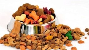 Супер премиум храна за кучета: функции, преглед, подбор, правила за хранене