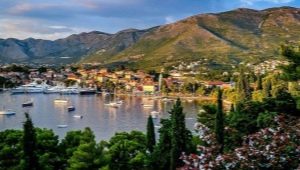 العطل في الجبل الأسود: الميزات والتكلفة