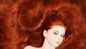 لون شعر أحمر نحاسي: ظلال ونصائح اختيار