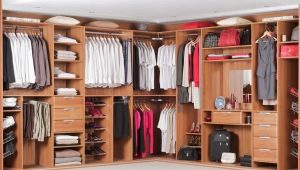ملء خزانة الملابس في غرفة النوم: القواعد الأساسية والأفكار المثيرة للاهتمام