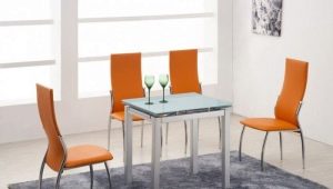 Stühle für die Küche auf einem Metallrahmen: Ausstattung und Auswahl