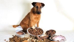 Премиална суха храна за кучета