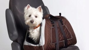 Carrying bag for dogs of small breeds