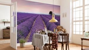 Murales in cucina, ampliando lo spazio: varietà, scelta e regole di installazione