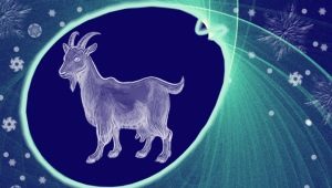 Година на козата: Характеристика и съвместимост