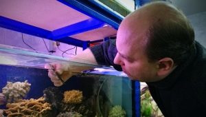 Колко често е необходимо да сменяте водата в аквариума и как да го направите?