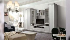 Klasické stěny v obývacím pokoji: co jsou a jak si vybrat?