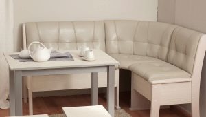 Odinės virtuvės sofos: modeliai iš natūralios ir dirbtinės odos, pasirinkimo patarimai