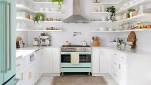 Nábytok pre malú kuchyňu: typy, výber a umiestnenie
