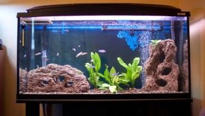Проектирайте аквариум с вместимост 200 литра