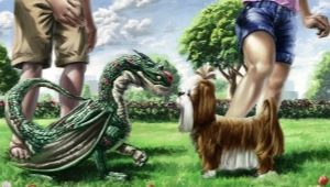 Compatibilitatea dragonilor și câinilor în diferite aspecte ale vieții