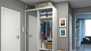 Тесен гардероб в коридора: видове, избор и поставяне