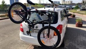 The trunk for the bike on the rear door of the car: features and selection