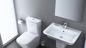 Тоалетни без подло: без дизайн, плюсове и минуси, избор