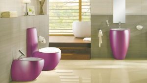 Farvede toiletter: typer og indstillinger i interiøret