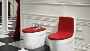 Floor toilets: device and varieties, recommendations for choice