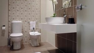 بلاط في المرحاض: أنواع وأفكار التصميم