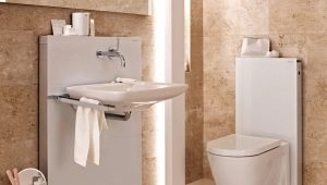 Sink in the toilet: varieties and recommendations for choice