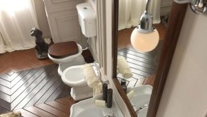 Banheiros retrô: características de estilo e visão geral dos fabricantes