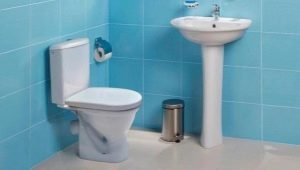 Santek καθίσματα τουαλέτας: χαρακτηριστικά και συστάσεις για επιλογή