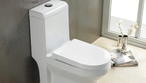 Monoblock-toalett: funksjoner og anbefalinger for valg