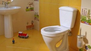 Compacte toiletten: variëteiten, maten en selectietips