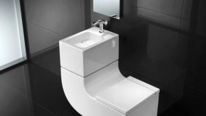 Banheiros com pia no tanque: dispositivo, vantagens e desvantagens, recomendações para seleção
