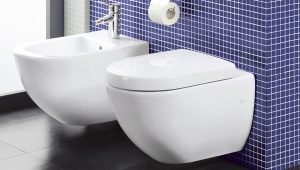 Villeroy & Boch toaletter: beskrivelse og rekkevidde