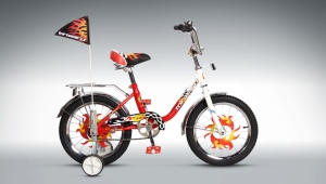Forward Kids Bikes: Преглед на най-добрите модели