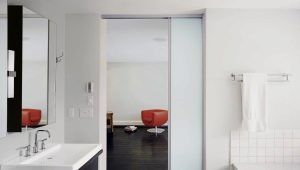 أبواب الحمام المنزلقة: أصناف ، توصيات للاختيار