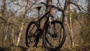 KTM-Fahrräder: Modelle, Auswahlrichtlinien