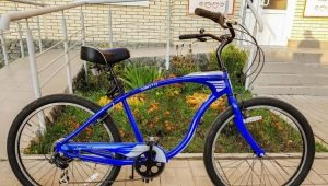 Schwinn Bikes: modelbeschrijvingen en selectiecriteria