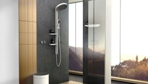 Wbudowane systemy prysznicowe: odmiany, marki, zasady wyboru